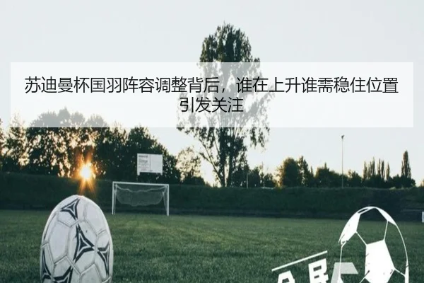 苏迪曼杯国羽阵容调整背后，谁在上升谁需稳住位置引发关注 | manguansports